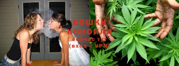 сатива Абаза