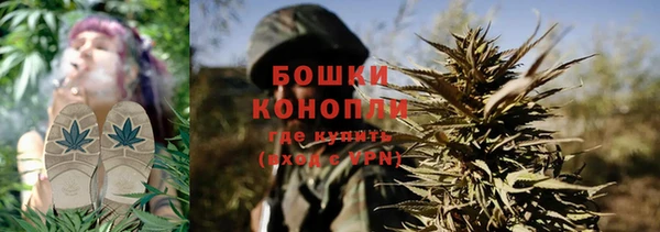 сатива Абаза